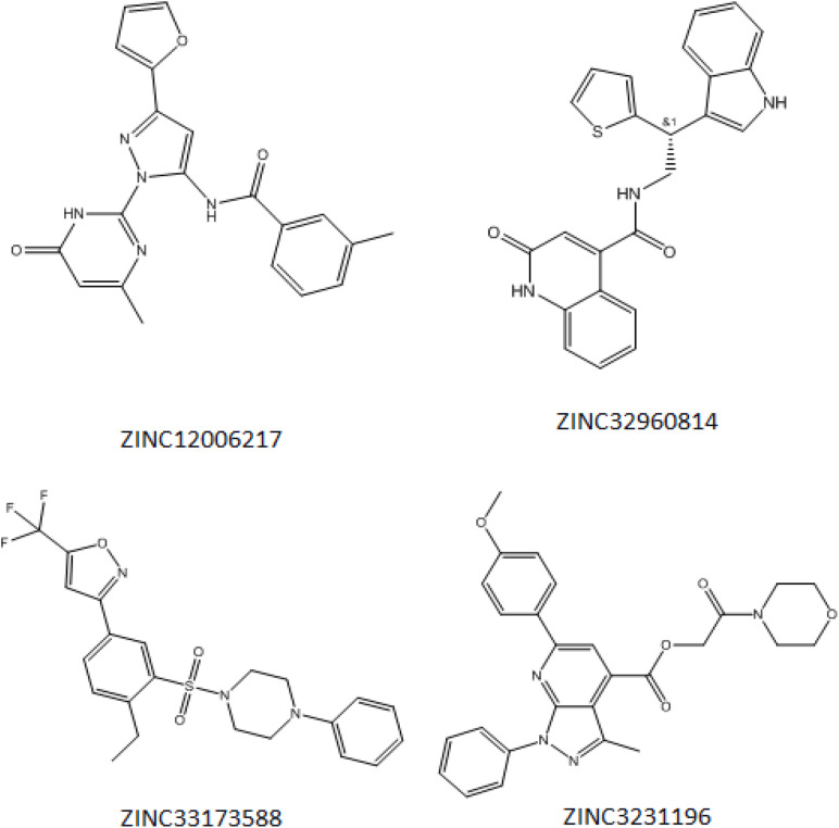 FIGURE 4