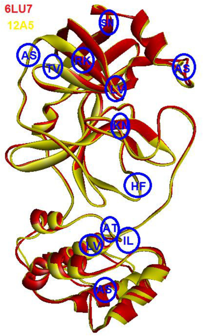 FIGURE 2