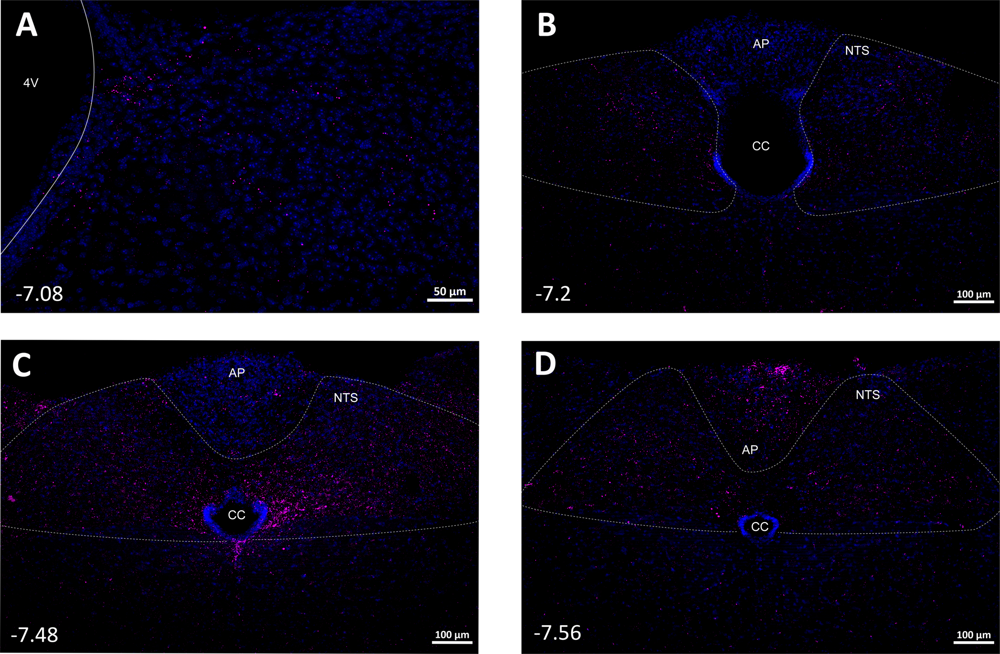 Fig. 9.