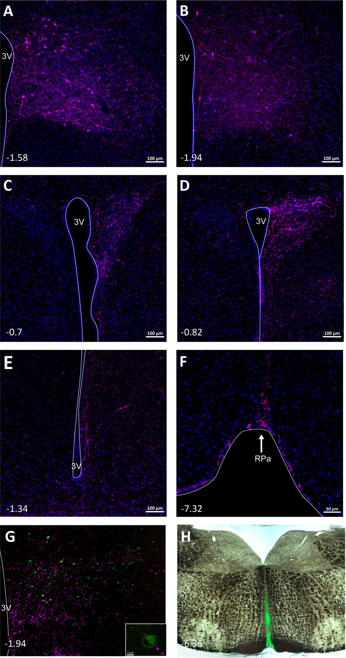 Fig. 6.