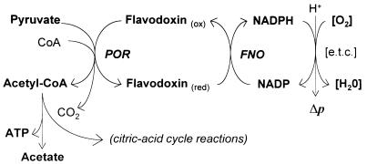 FIG. 6