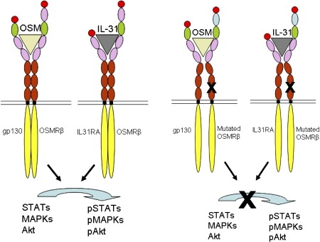 Figure 5