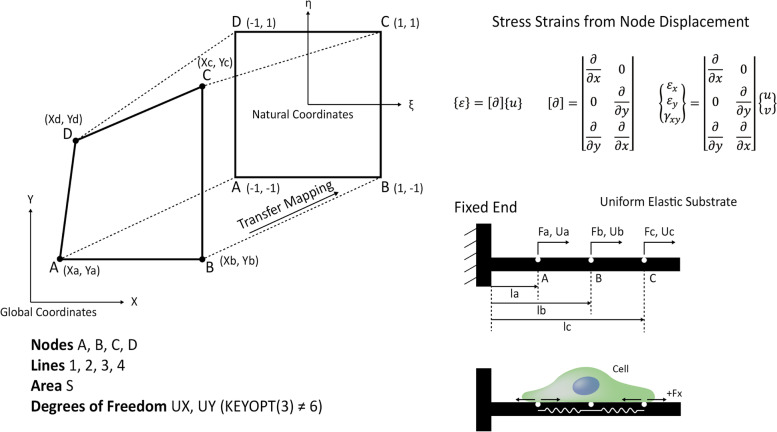 Fig. 6