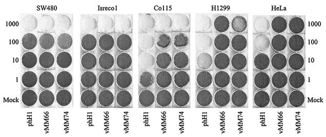 FIG. 6.