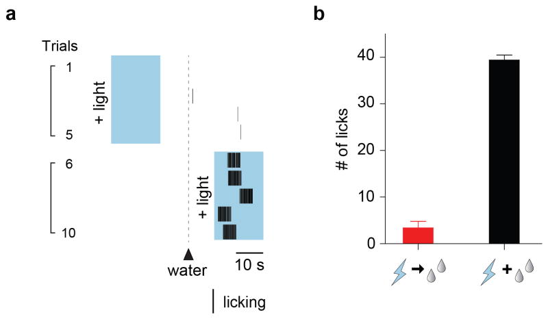 Extended Data Figure 5