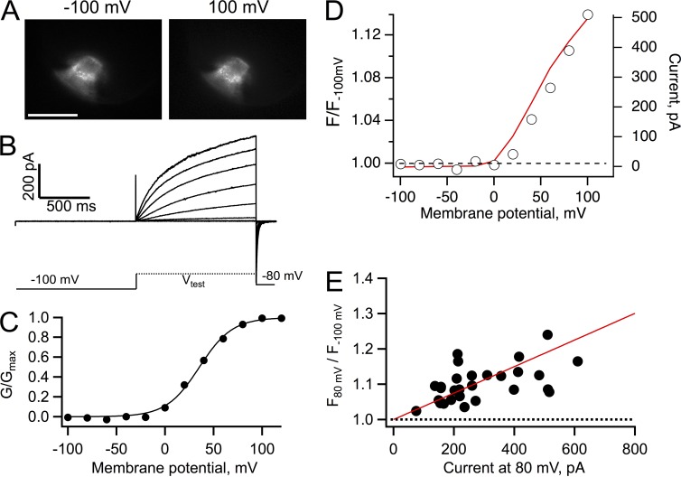 Figure 6.