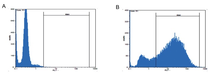 Fig.2