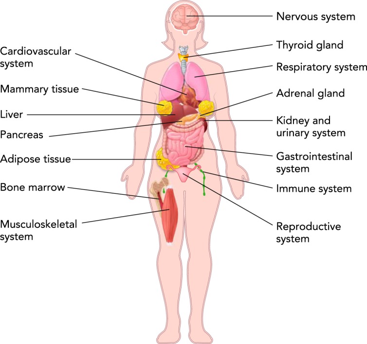 FIGURE 1.