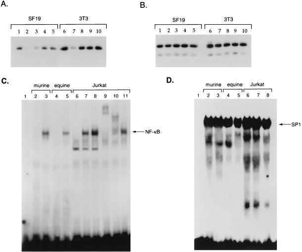 FIG. 8