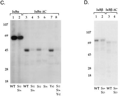 FIG. 6