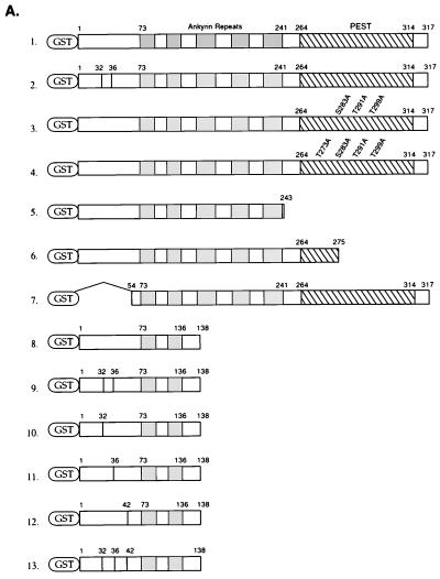 FIG. 5