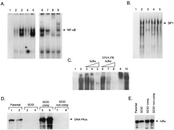 FIG. 10