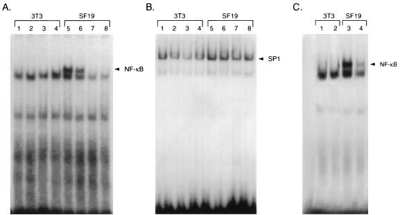 FIG. 9