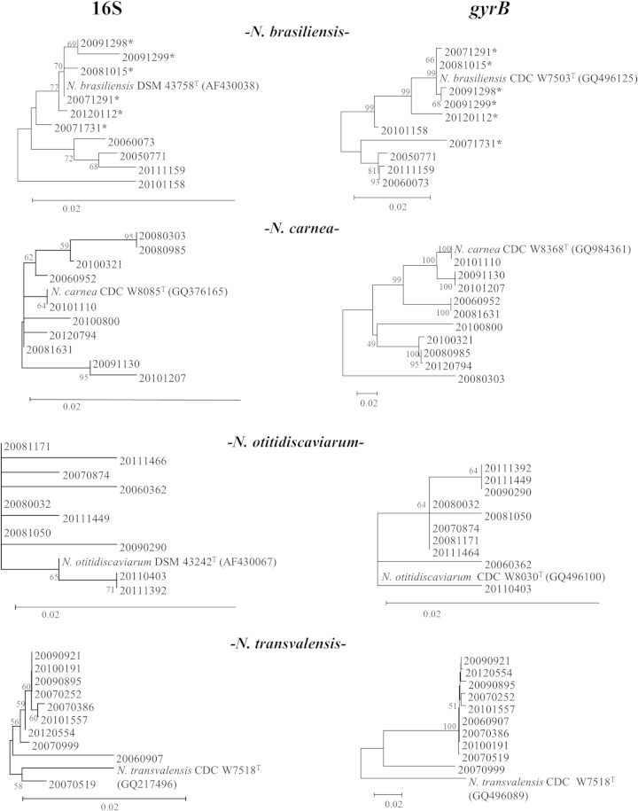 FIG 1