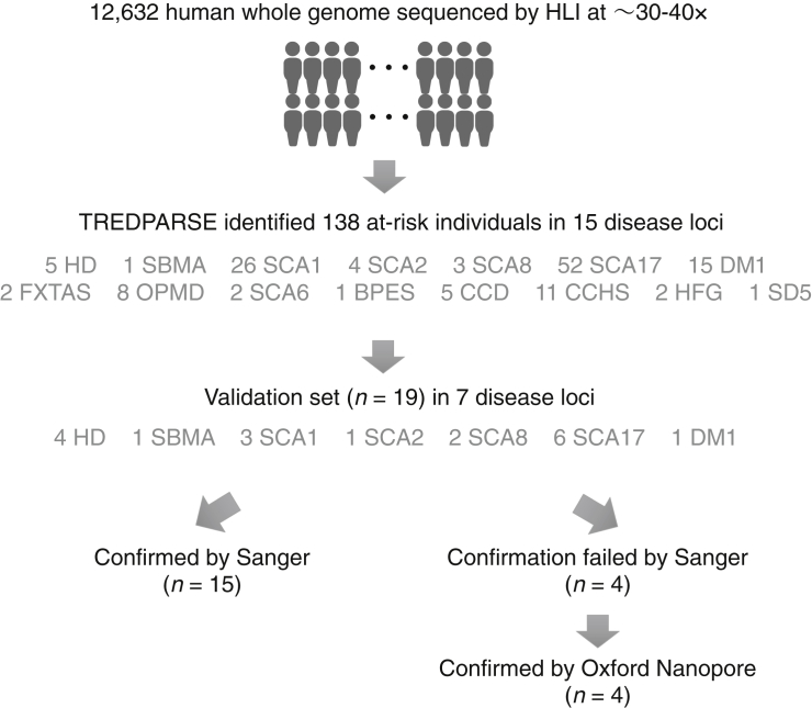 Figure 5