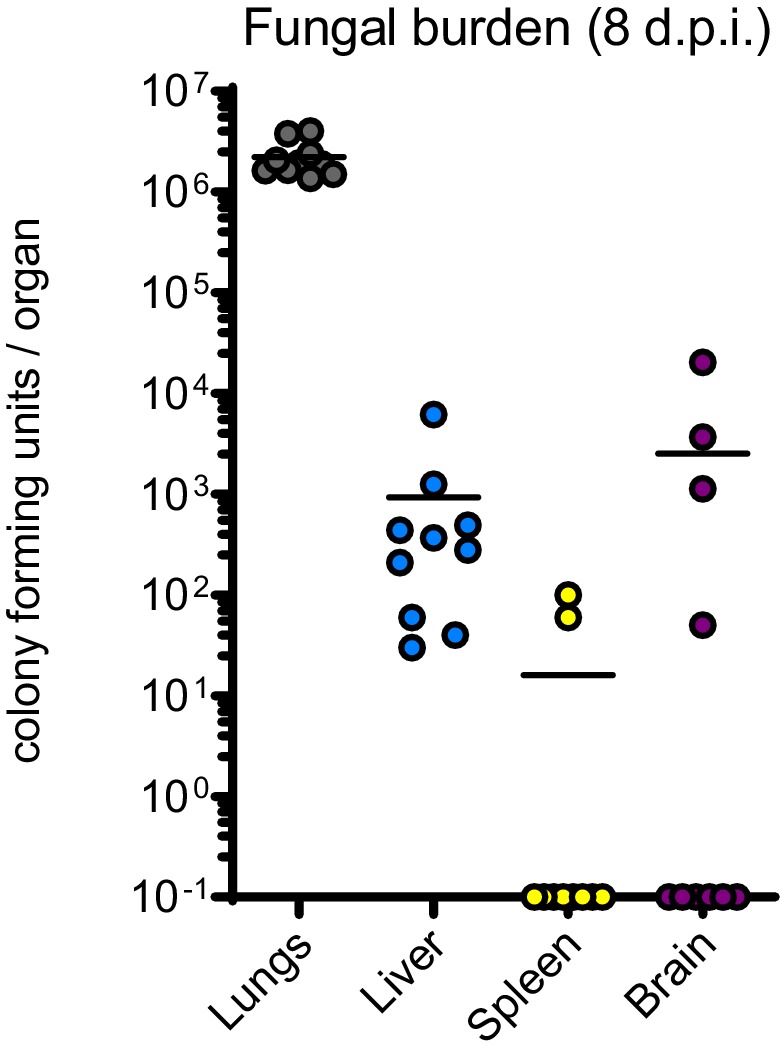 Figure 7—figure supplement 1.