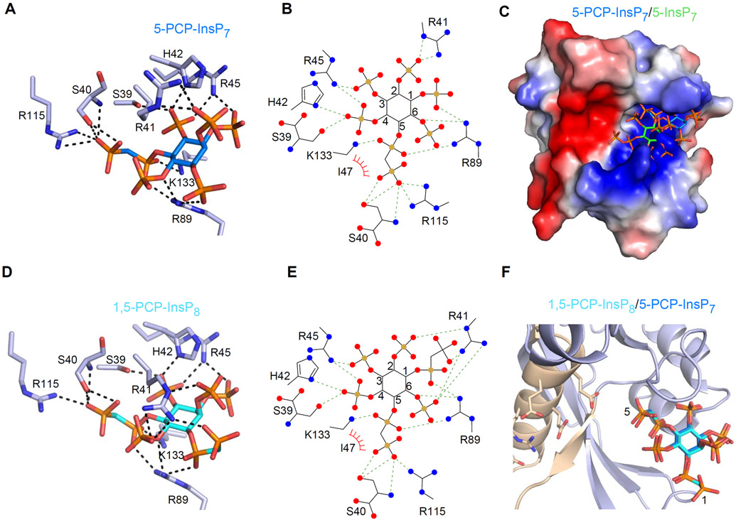 Figure 6.