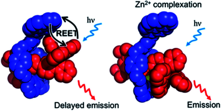 graphic file with name d1sc02225c-ga.jpg