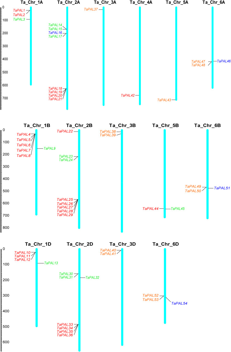 Figure 3