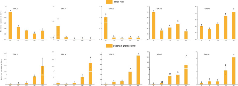 Figure 7