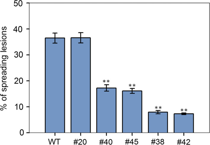 Figure 9