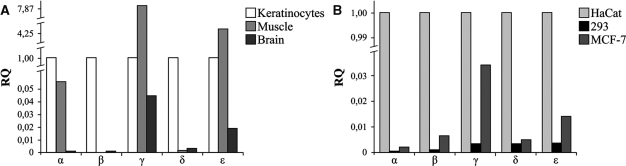 Figure 5.