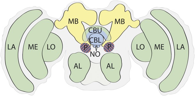 Fig. 2.