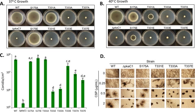 FIG 4 