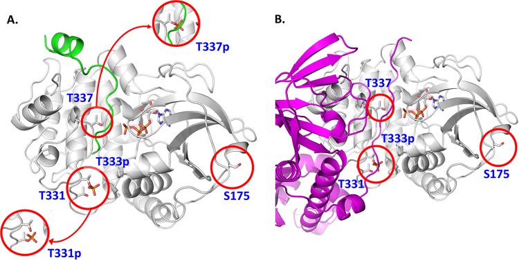 FIG 2 