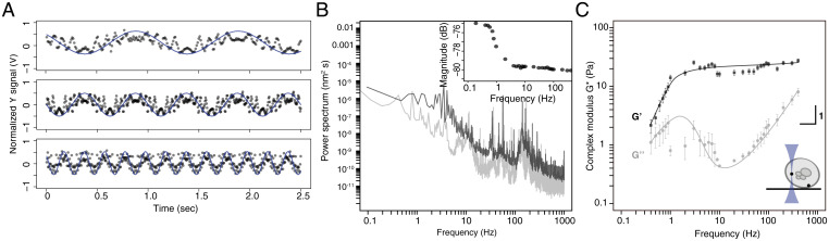 Fig. 6.