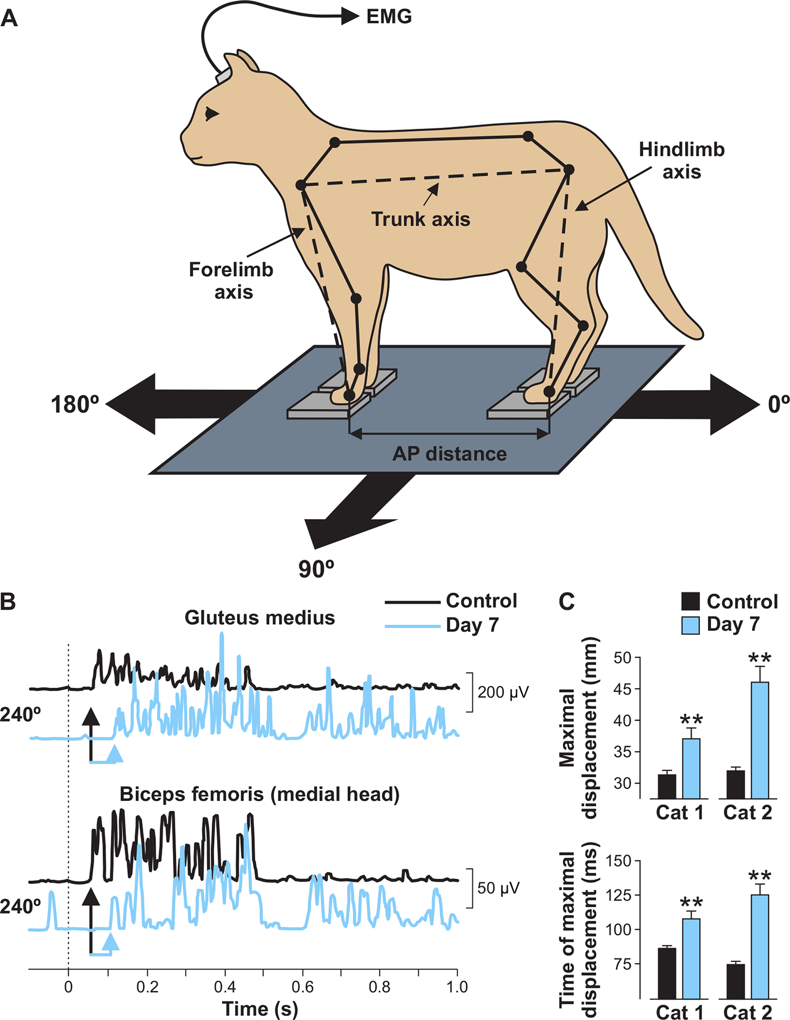 Figure 15.