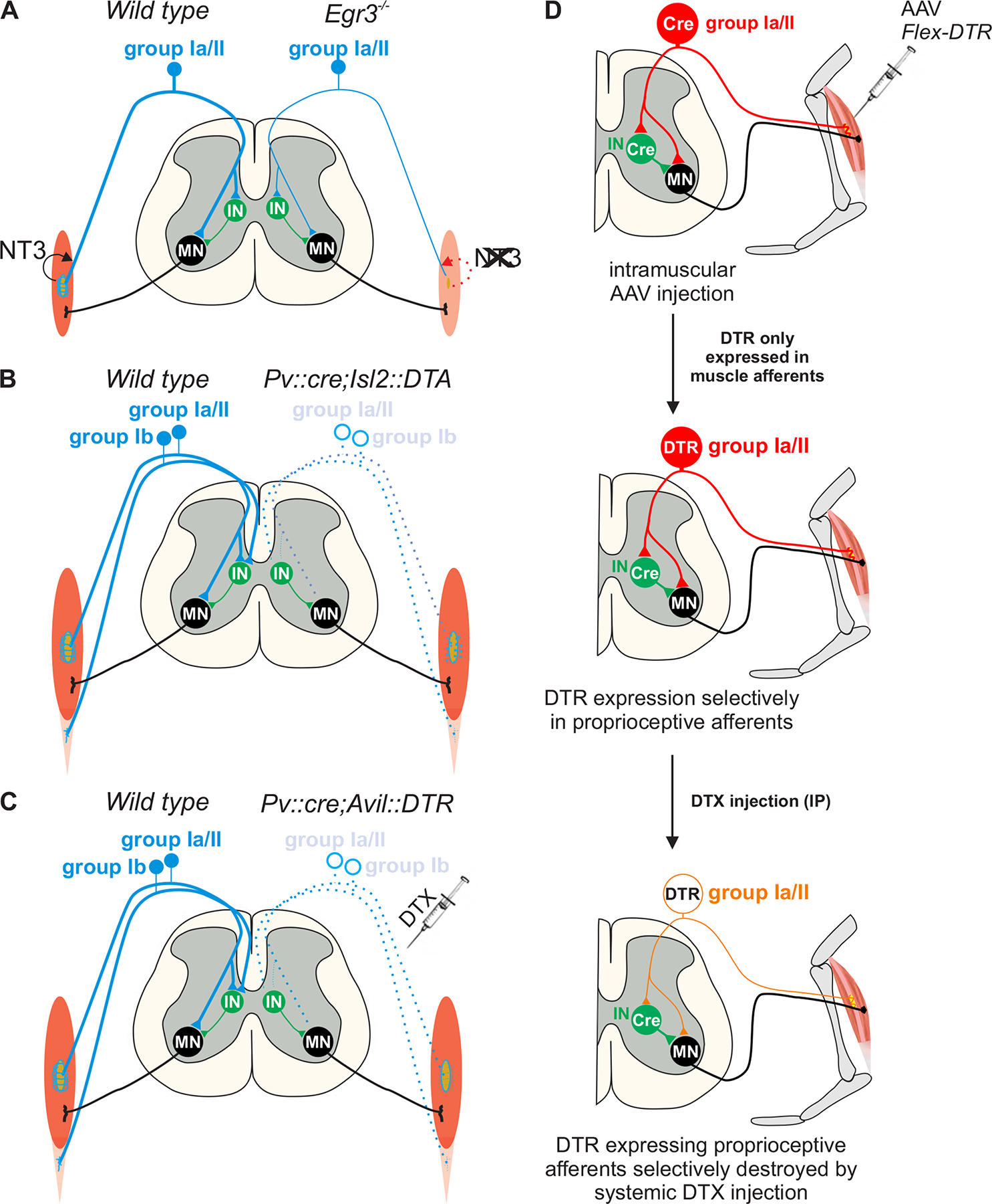 Figure 13.