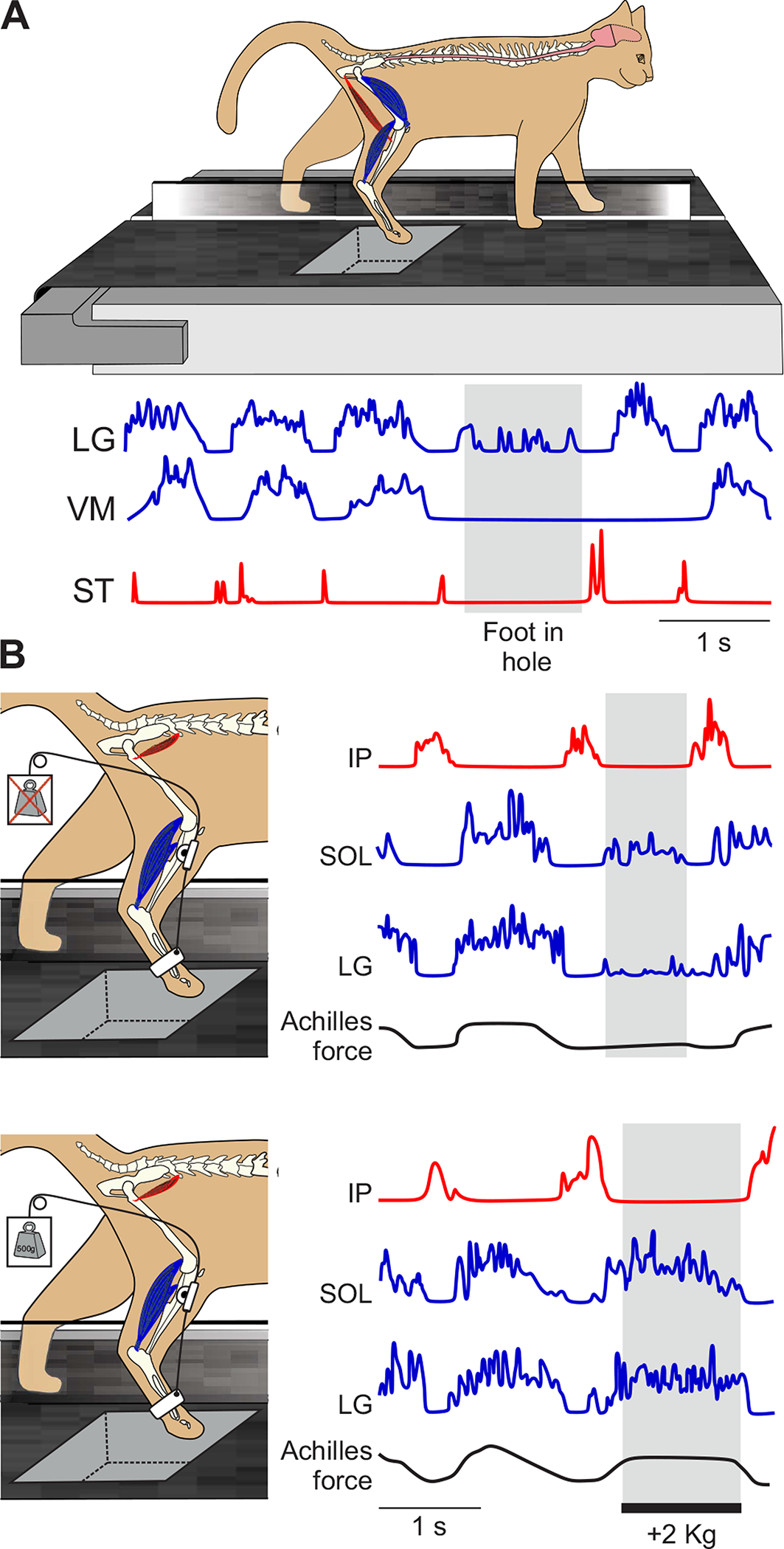 Figure 19.