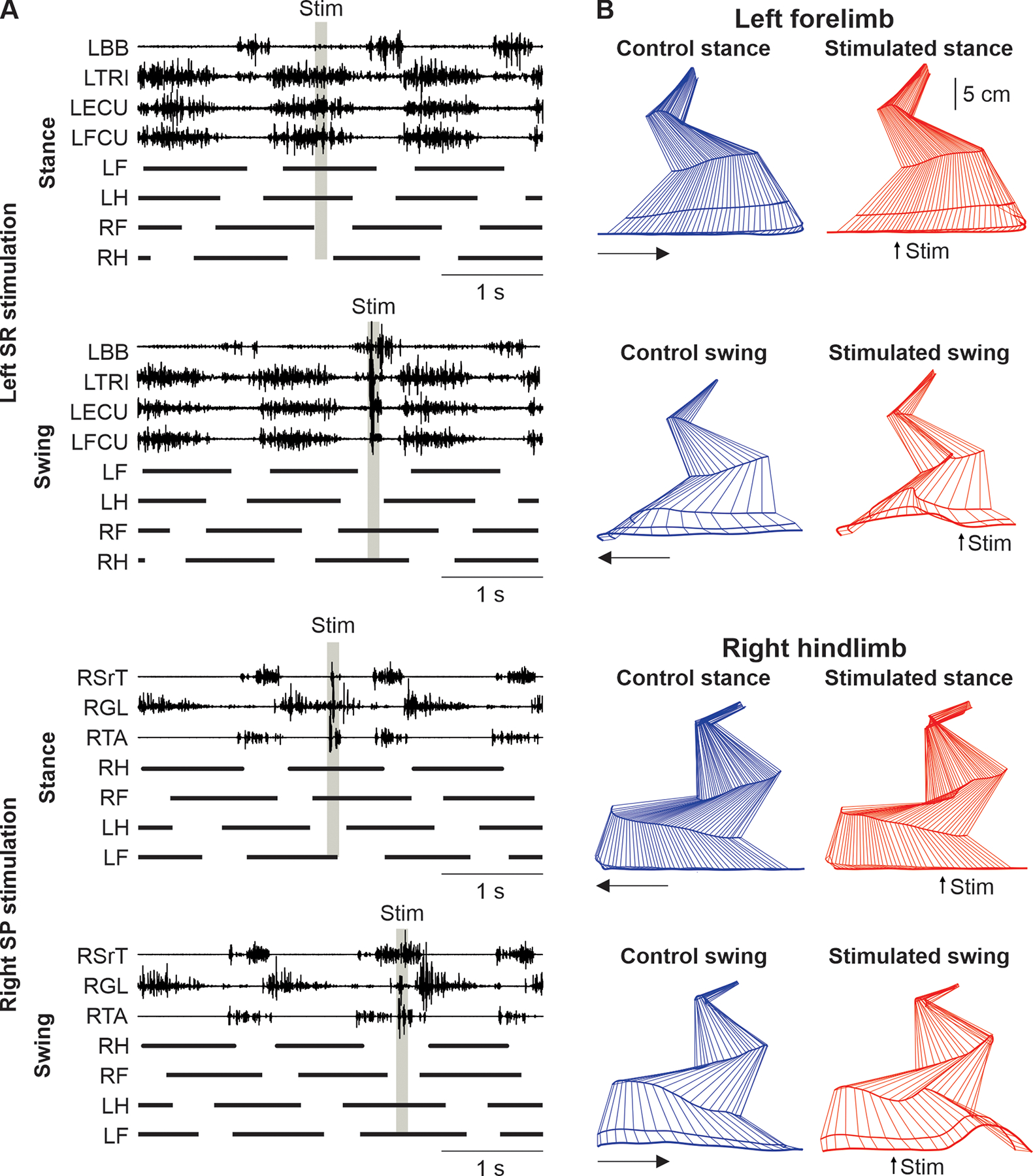 Figure 20.