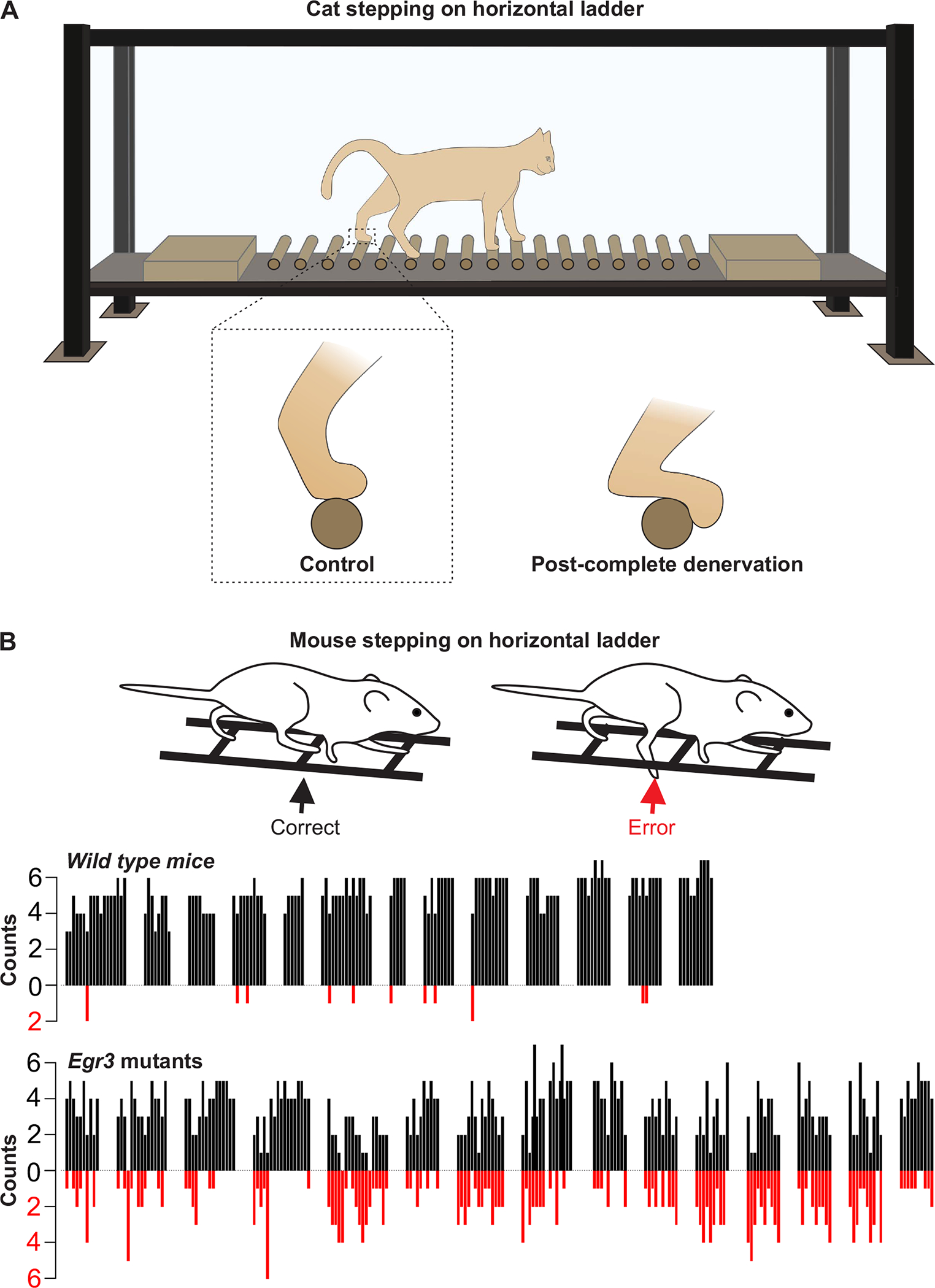 Figure 16.