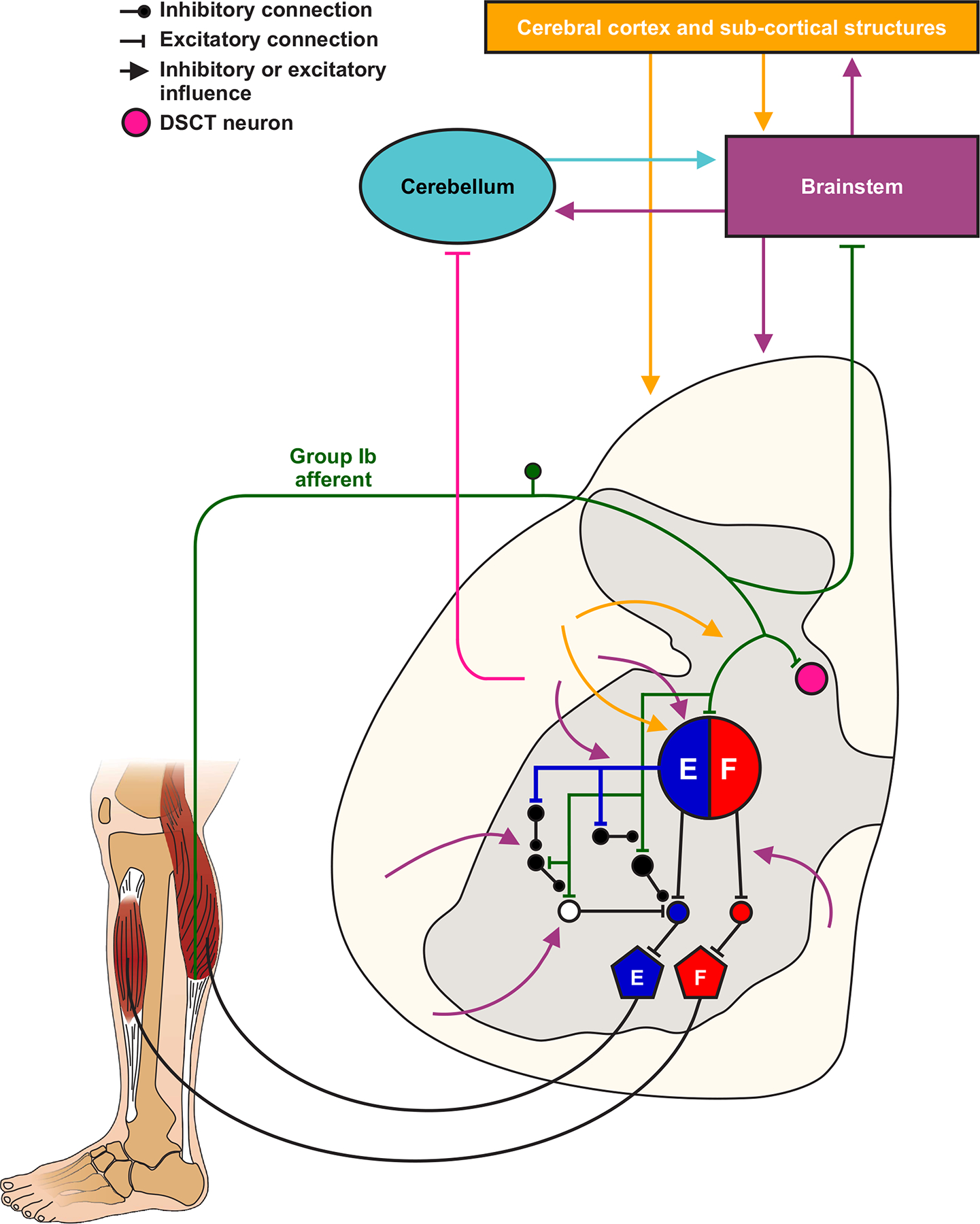 Figure 12.