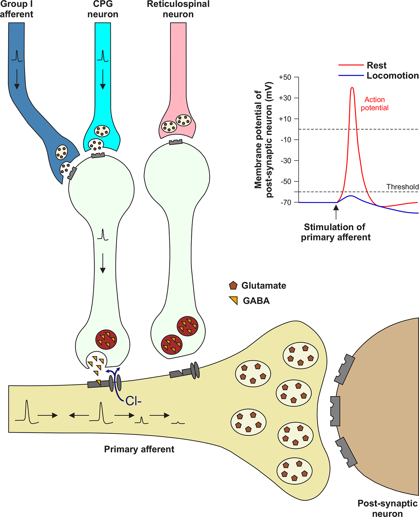 Figure 11.