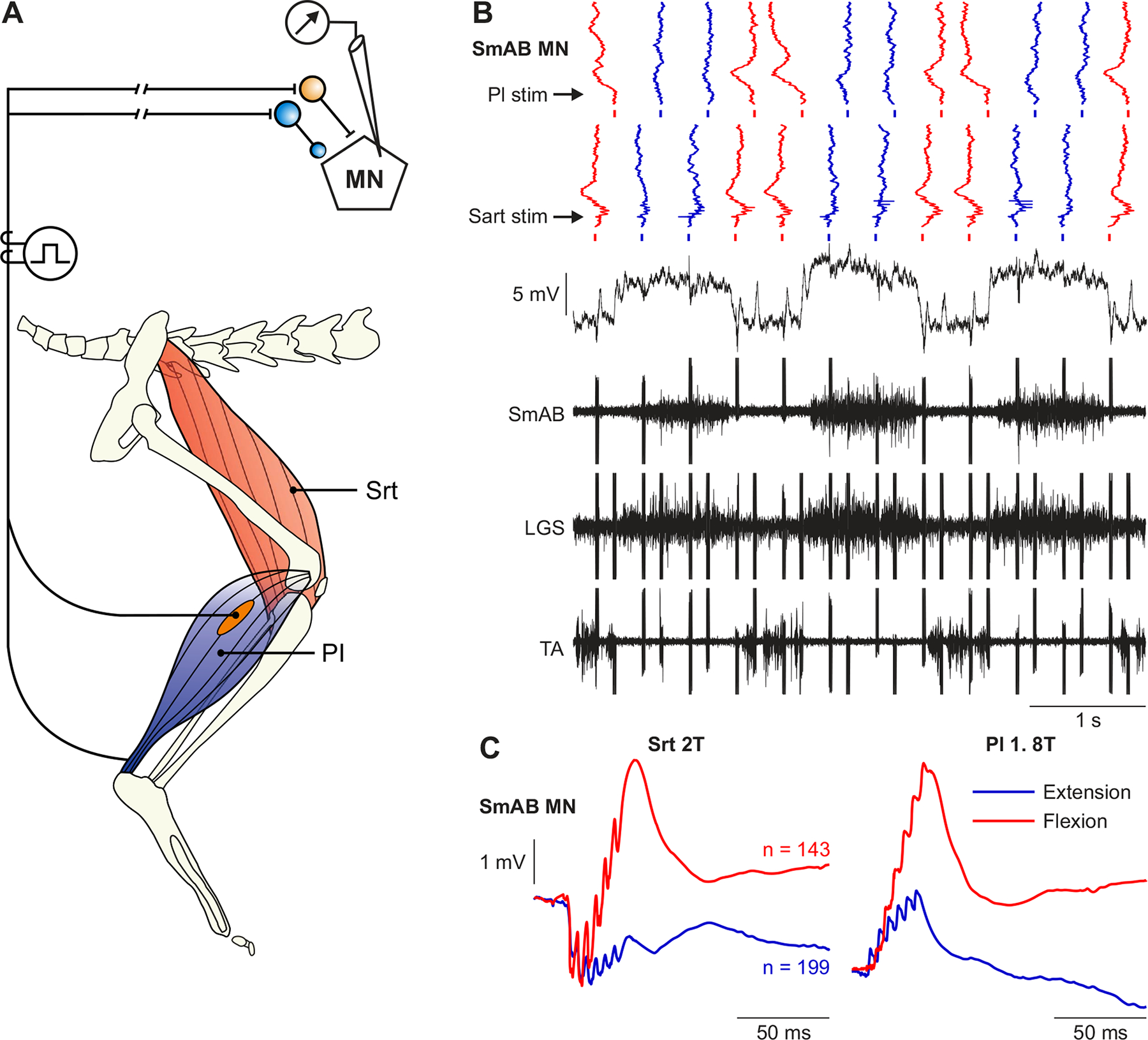 Figure 10.