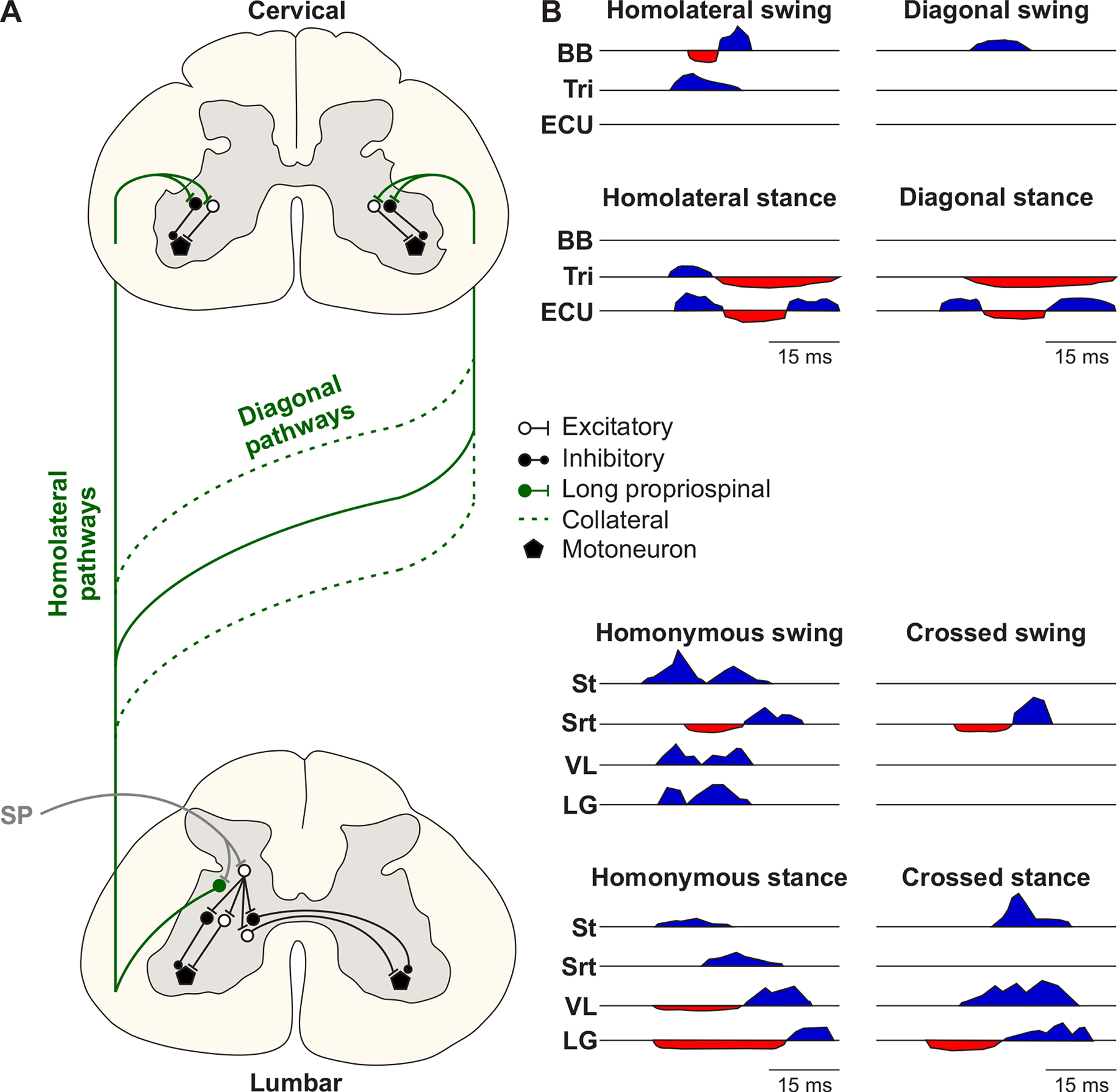 Figure 22.