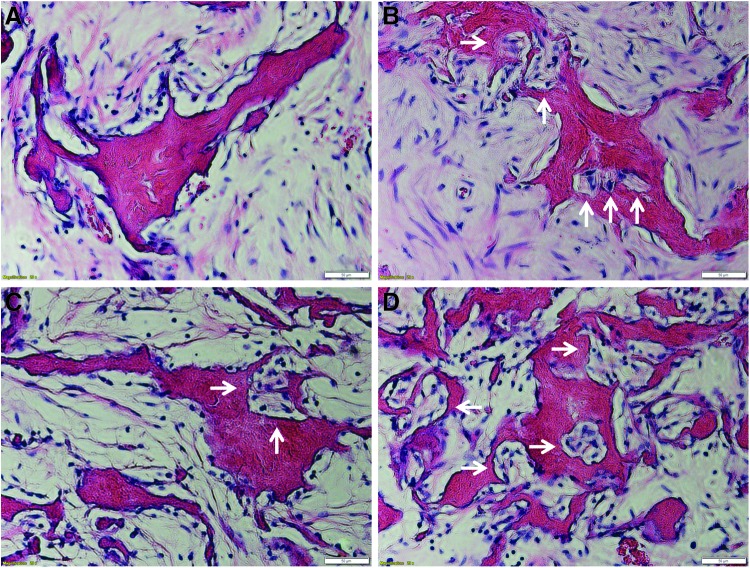 FIG. 10.