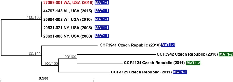 FIG 2 