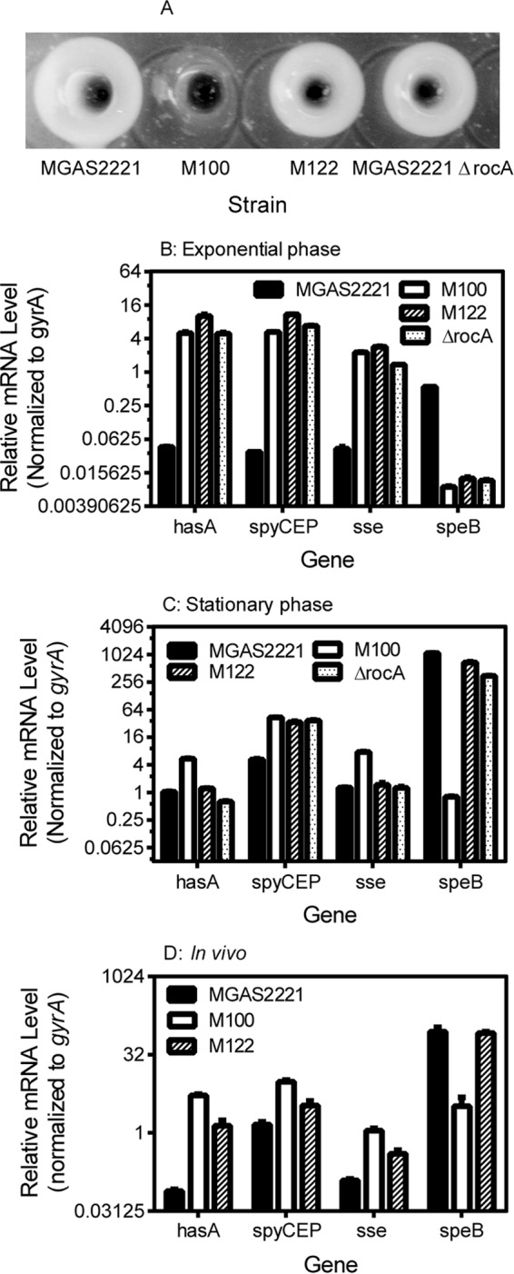 FIG 2