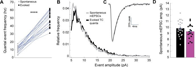 Figure 2—figure supplement 1.