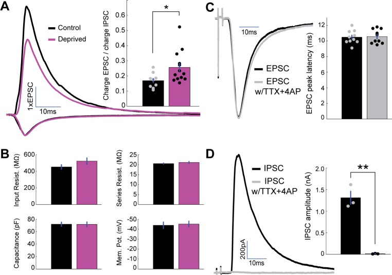 Figure 1—figure supplement 1.