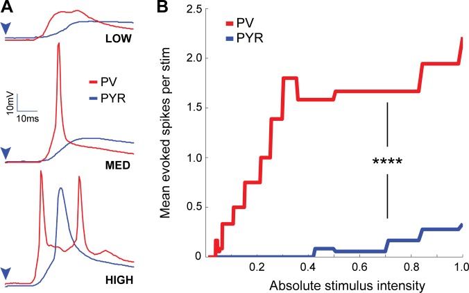 Figure 4—figure supplement 1.