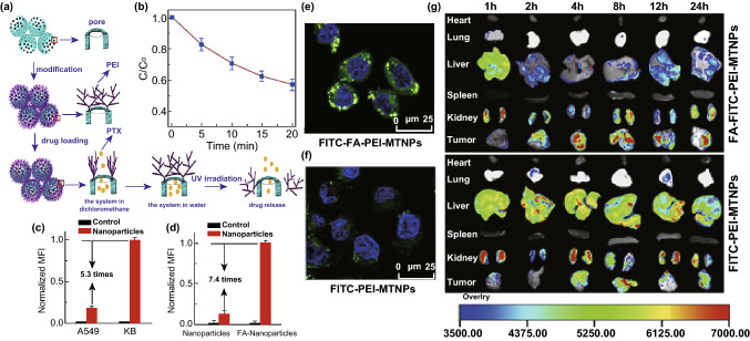 Fig. 3