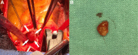 Figure 5