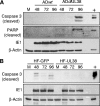 FIG. 7.