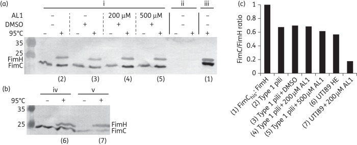 Figure 6.