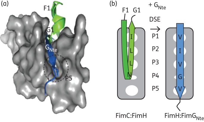 Figure 1.